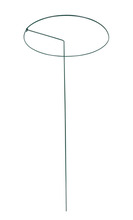 Växtstöd Ø40 x 80 cm Home>it